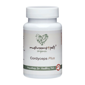 Cordyceps Plus (500 mg) 60 kom