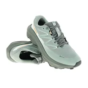 Salomon Ultra Flow 2 GTX Moški Tekaška obutev za gorski tek Gore-Tex