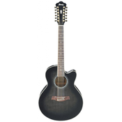 IBANEZ AEL2012E-TKS 12-STRUNSKA elektro-akustična kitara