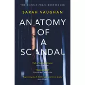 Anatomy of a Scandal