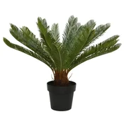 Ambia Home UMETNA RASTLINA 80/60 cm