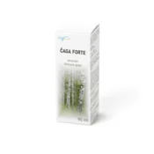 Holistic.si Čaga forte, 90ml