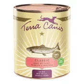 Terra Canis Salmon with millet, peach & herbs 800 g