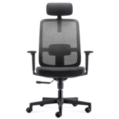 ERGOVISION pisarniški stol  Ergo basic 02