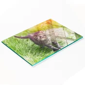 shumee Steklena servirna deska za kuhinjo z grafiko mačke in regrata 80x52 cm