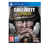 Activision CALL OF DUTY: WWII, (601892-c359730)