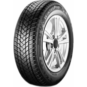 GT Radial WinterPro2 ( 205/60 R16 96H XL )