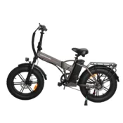 BAOLUJIE Električno kolo BAOLUJIE GPS-DZ2002 48V16Ah, integrirana kolesa, siva, (5000255696)