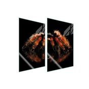 shumee ZAŠČITNA STEKLENA PLOŠČA ZA KUHINJO 2x35x52 SPIDER