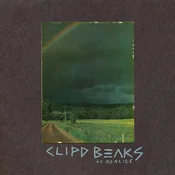 Clipd Beaks - To Realize (2 LP)
