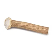 BESTBONE ROG L