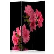 artgeist Paravan Azalea In Black, 3-Delni, Dvostranski