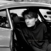 David Sylvian - Gone To Earth (Reissue) (2 LP)
