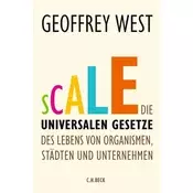 Scale
