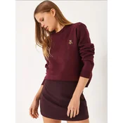Bianco Lucci Pulover Pullover burgund