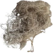shumee Sivi lišaj 25 g