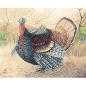 JVD Target Face Animal Turkey