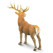 Safari Rdeči jelen