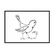 shumee PLAKAT ZA SLIKE V OKVIRJU A4 cm Bird PD236