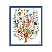 Carthusia Ammare Cotton Pareo White Background Blue Border