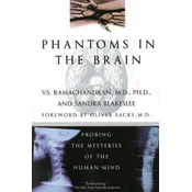 Phantoms in the Brain