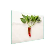 shumee Steklena zaščita za kuhalno ploščo 70x52 Chili