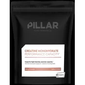 Kreatin Amix Creatine Monohydrate - Performance Capacity Pouch