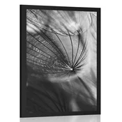 Plakat čudoviti regrat v črnobeli varianti - 40x60 no frame