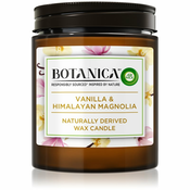 Air wick Botanica sveča Vanilija in himalajska magnolija, 205 g