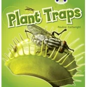 BC NF Blue (KS1) B/1B Plant Traps