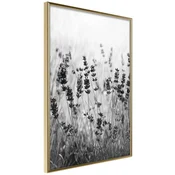 Poster - Shadow of Meadow 40x60