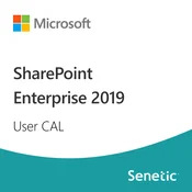 SharePoint Enterprise 2019 User CAL