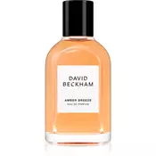 David Beckham Amber Breeze parfumska voda za moške 50 ml