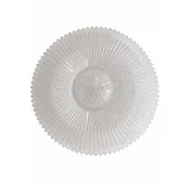 LED plafonjera YP-79, 30 W