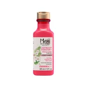 Hibiscus water regenerator