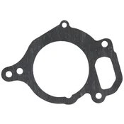 Granit Brtva vodene pumpe CASE CS STEYR 132000060715