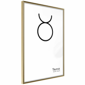 Poster - Zodiac: Taurus II 30x45