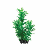 Tetra akvarijska rastlina - Green Cabomba S, 15 cm