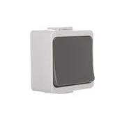 shumee Jantar-bis enojno stikalo z osvetlitvijo n/t IP44 sivo WNT-1J-b/S