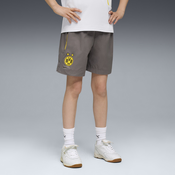 Borussia Dortmund PumaTECH Relaxed Shorts Youth, Gray, Size 11-12Y, Clothing