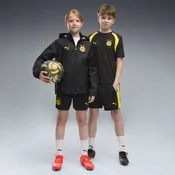 PUMA Borussia Dortmund Training Shorts Youth, Clothing, Black/Faster Yellow, 5-6Y