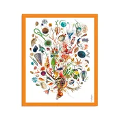 Carthusia Ammare Cotton Pareo White Background Orange Border