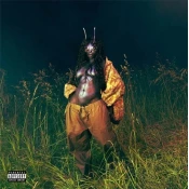 SZA - SOS Deluxe: Lana (Deluxe Edition) (Green Coloured) (4 LP)