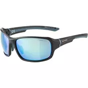 Alpina LYRON, sunčane naočale, crna 0-8630