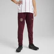 Puma Manchester City Training Pants Youth, Red, Size 11-12Y, Clothing