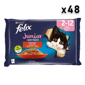 Felix Junior Sos za macice, Govedina i piletina, 48x85g