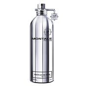 Montale Fruits of the Musk parfem 100ml