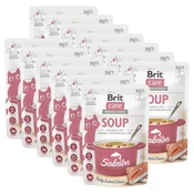 Brit Care Cat Soup with Salmon 15 x 75 g