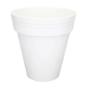 Palmówka cvetlični lonček z irisi 24 cm BEL