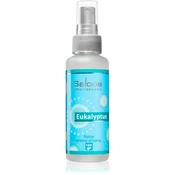 Saloos Natur Aroma Airspray osvežilec zraka in perila 50 ml  (Eucalyptus)